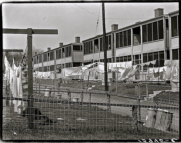 back yards and laundry