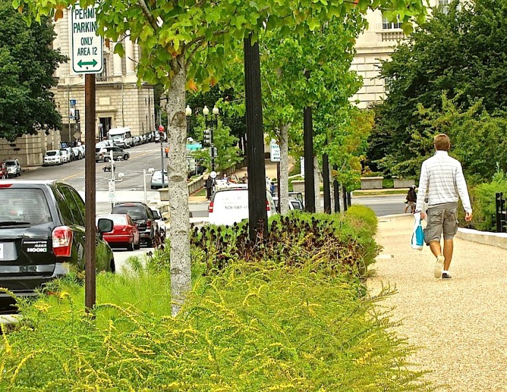 Hellstrip west of Museum of Natural History, Wash., DC/enclos*ure