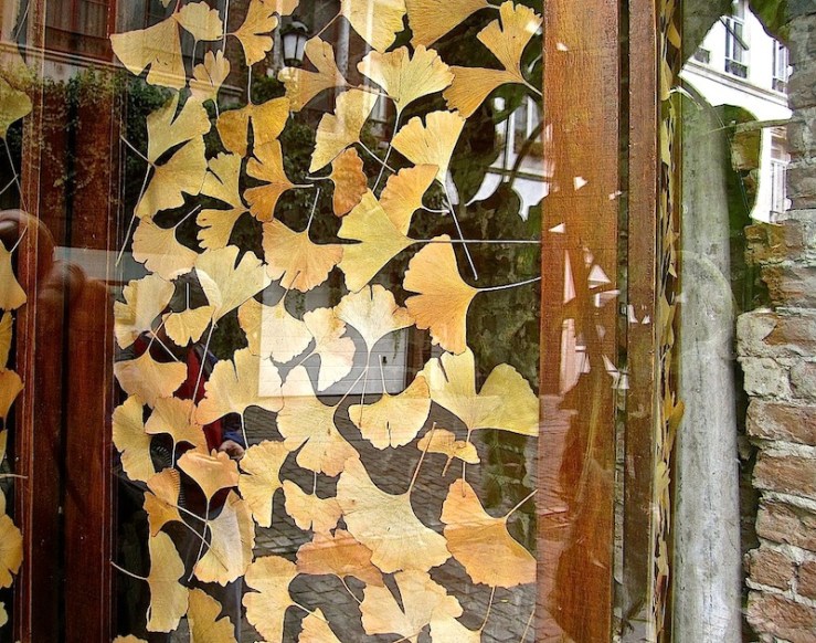 Gallery window in Dansaert, Brussels/enclos*ure