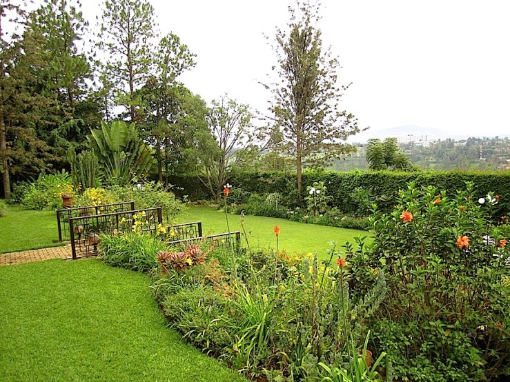 Looking to the south. At the top of the retaining walls, there are daylilies, evolvulus, and kniphofia. . .