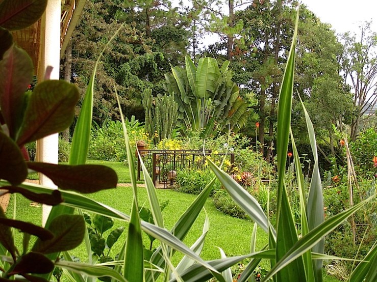 November garden tour:enclos*ure