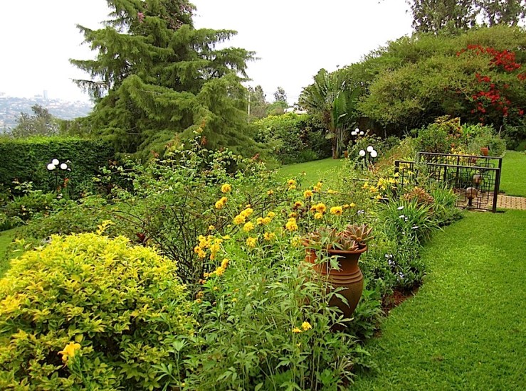 Looking back from the south side of the upper lawn.  There are Rudbeckia laciniata in the foreground.