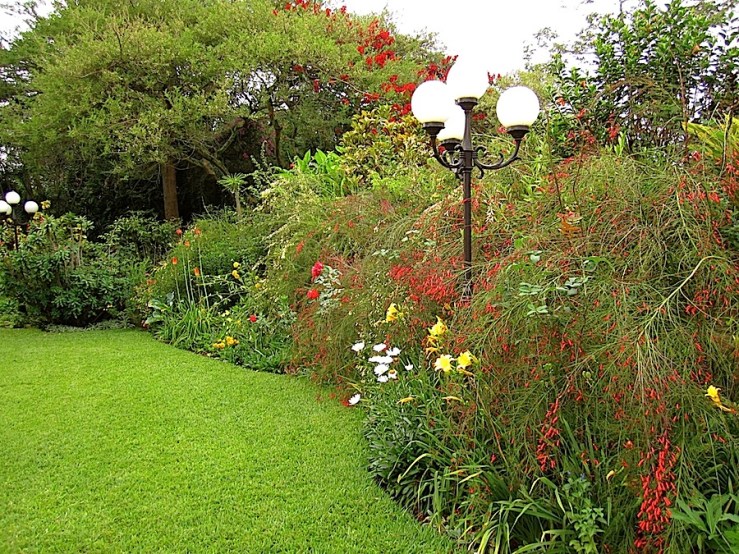 There are Russelia equisetiformis in red and cream, Rudbeckia laciniata, dayllilies, and shasta daisies in this border.