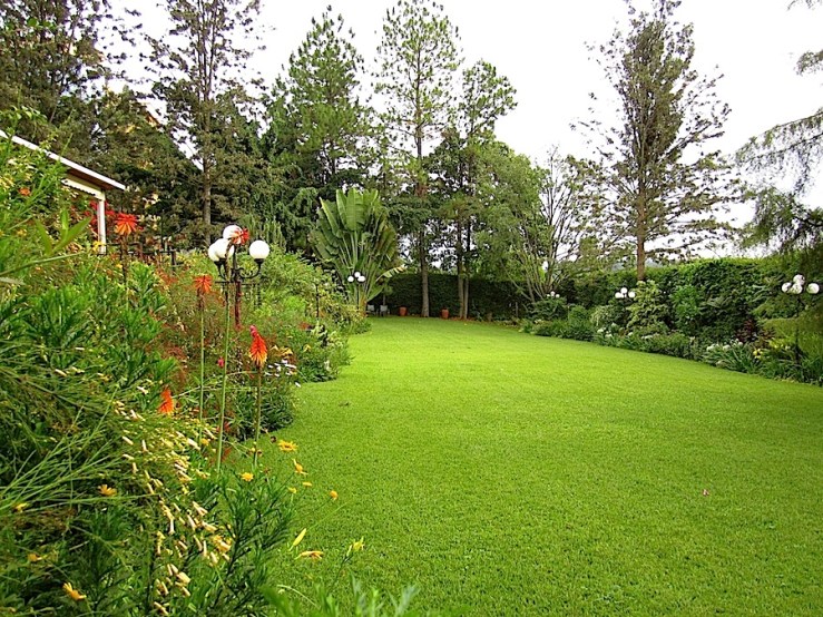Looking down the lower lawn from the north side.