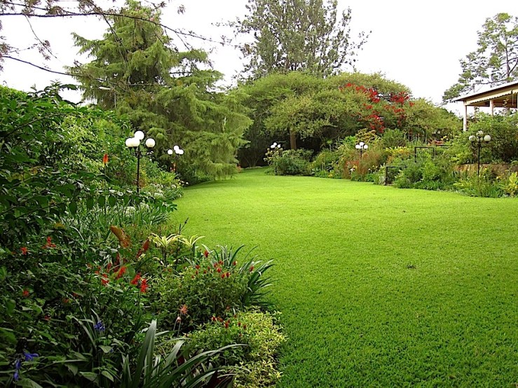 Looking down the lower lawn from the south side.