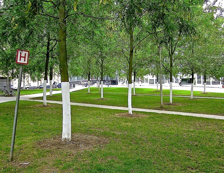 3 Brussels park:enclos*ure