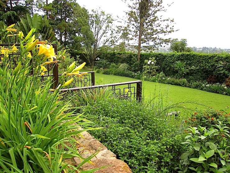 In the border between the two retaining walls are blue eranthemum bushes (at the far right side). . .