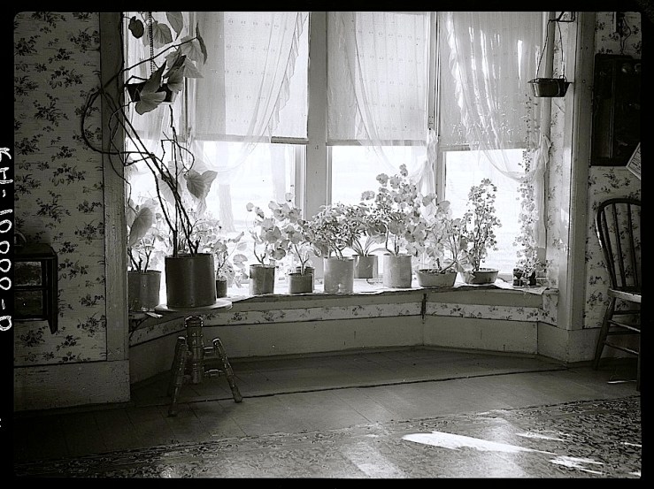 The winter garden/enclos*ure: farmhouse living room, Mercer County, Illinois, November 1936, by Russell Lee, via Library of Congress