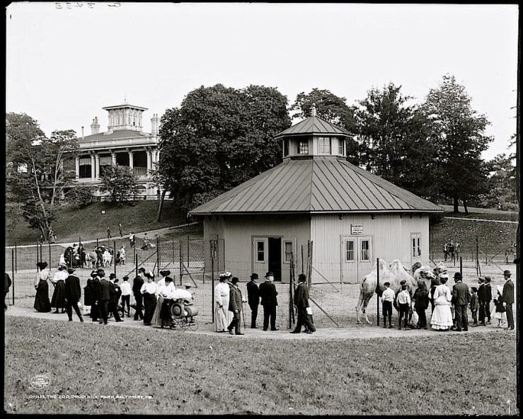 The Maryland Zoo (formerly The Baltimore Zoo) is the third oldest zoo in the U.S.