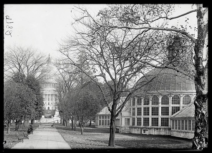 Botanical garden at the Capital