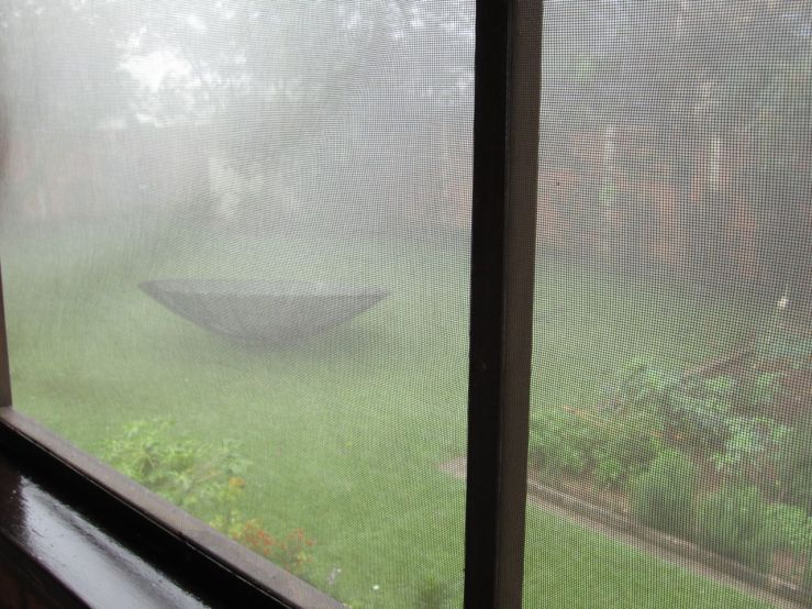 Our garden in fog/enclos*ure