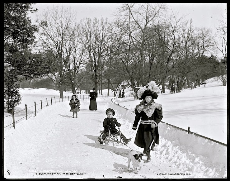 Vintage landscape/enclos*ure: snow in Central Park, c. 1900, via Library of Congress