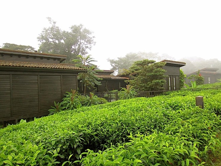 Nyungwe Forest Lodge/enclos*ure