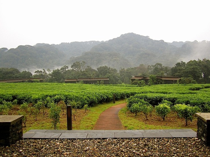 Nyungwe Forest Lodge/enclos*ure