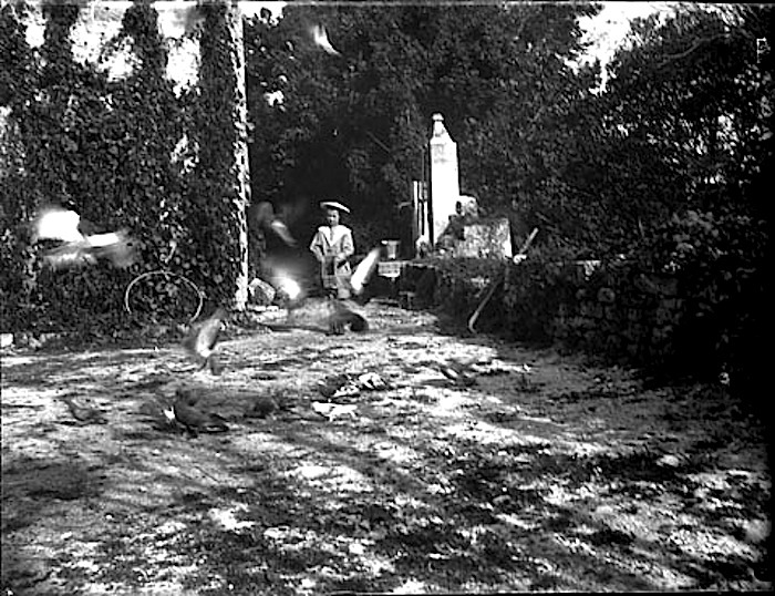 Bebe et les pigeons, Belesta, 1897, flickr Commons