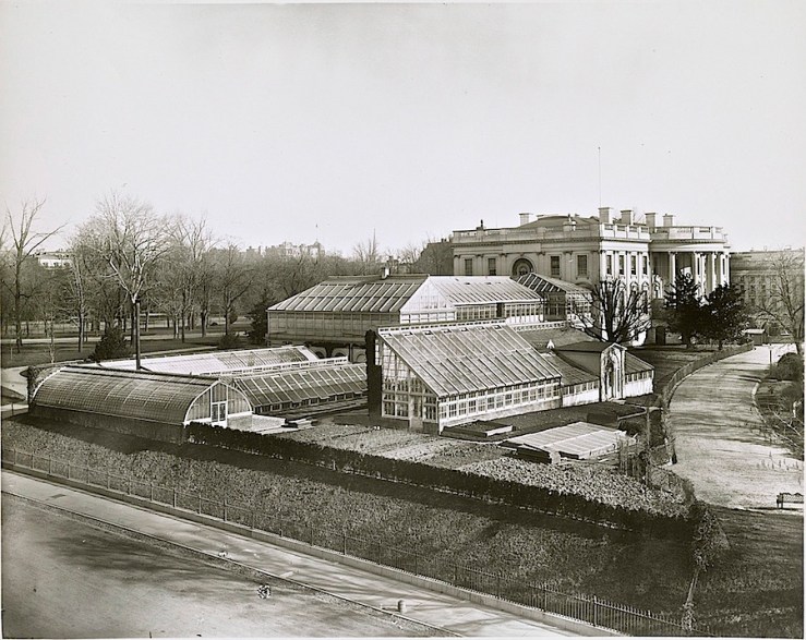 The greenhouses in 1889 by Frances Benjamin Johnston.