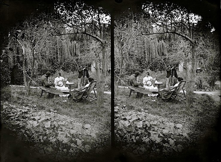 Williams garden, via National Library of New Zealand Commons on flickr