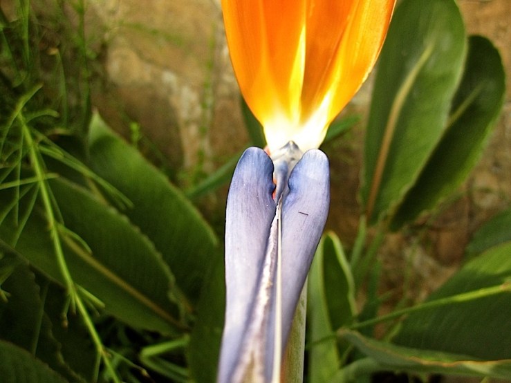 Wordless Wednesday/enclos*ure