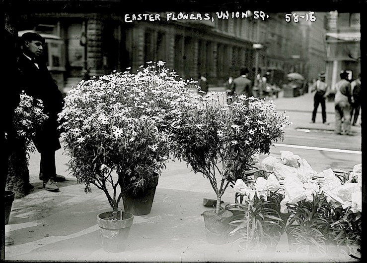 Vintage landscape/enclos*ure: buying Easter flowers, NYCity, 1908, via Library of Congress