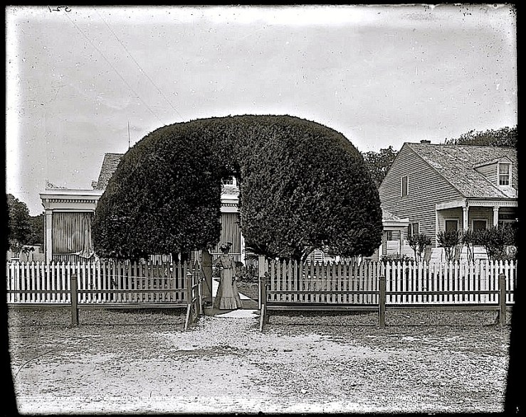 Bay St. Louis house, c. 1901, via Library of Congress