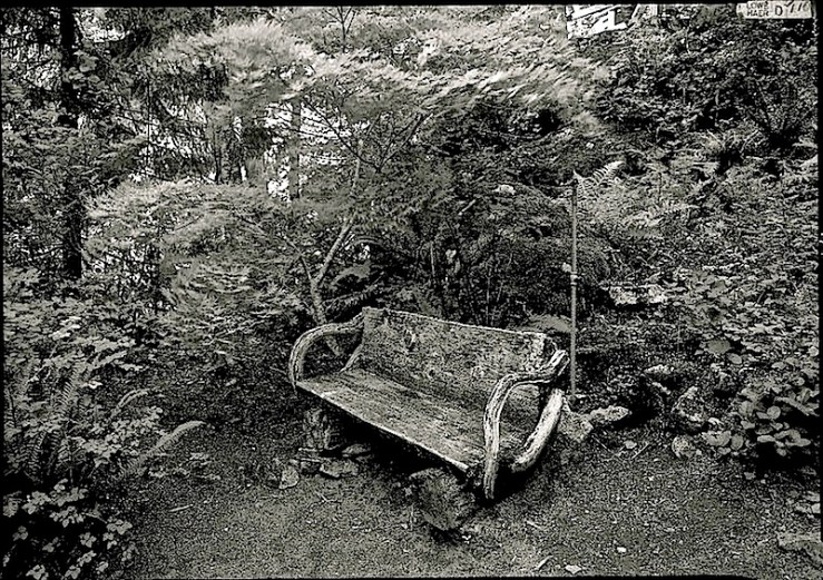Vintage landscape/enclos*ure: bench at Ladder Creek Gardens, Washington, via HABS, Library of Congress