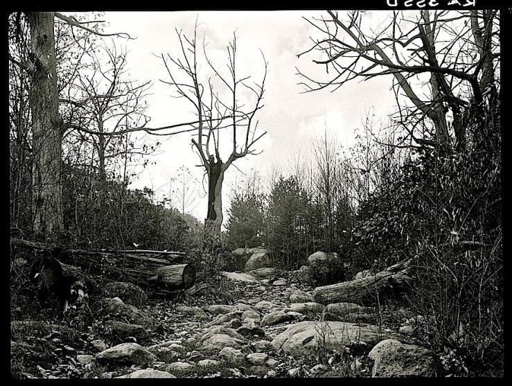 Dry stream bed, via Library of Congress