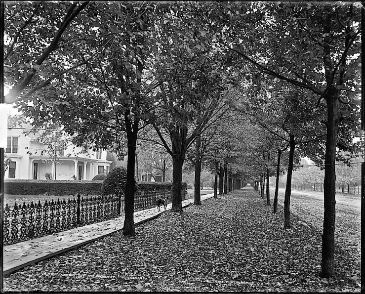 Mount Clemens, MI, ca. 1890, via Library of Congress