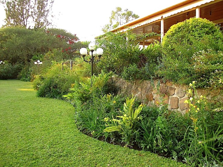 enclos*ure: our Kigali garden, Summer 2014 - lower lawn