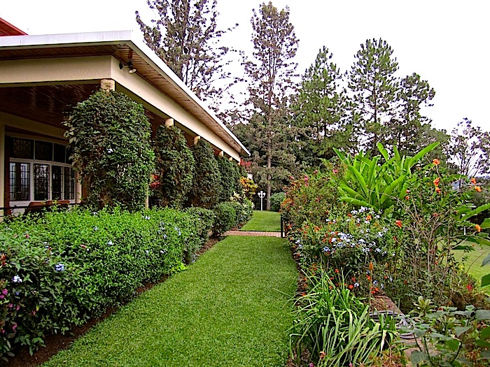 enclos*ure: our Kigali garden 2011 - upper lawn