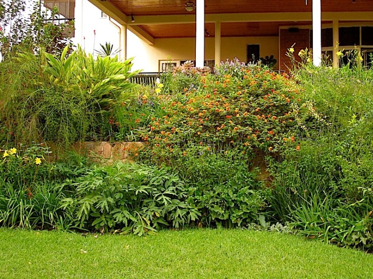 enclos*ure: our Kigali garden, Summer 2014 - lower lawn
