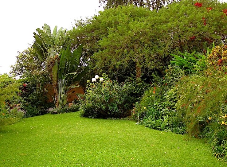 enclos*ure: our Kigali garden, Summer 2014 - lower lawn