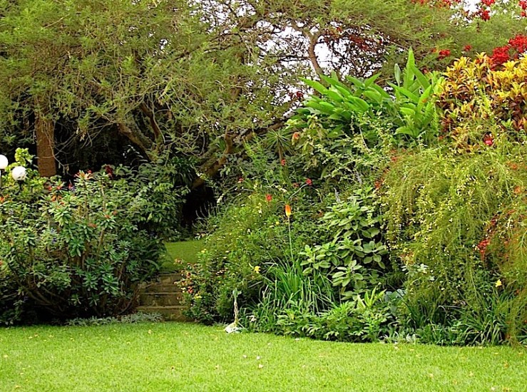 enclos*ure: our Kigali garden, Summer 2014 - lower lawn