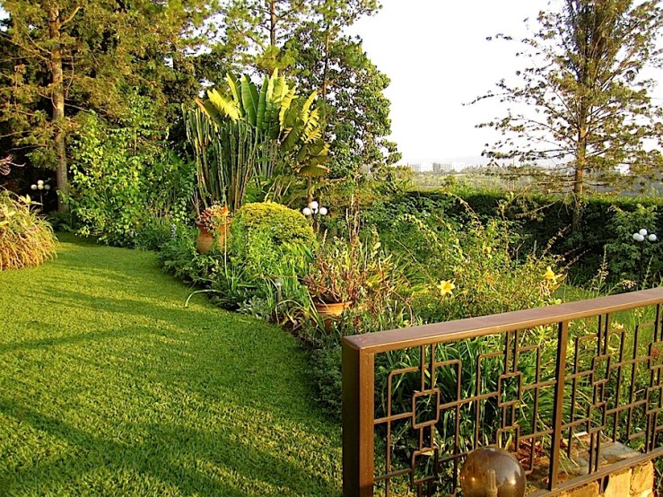 enclos*ure: our Kigali garden, June 2014 - upper lawn