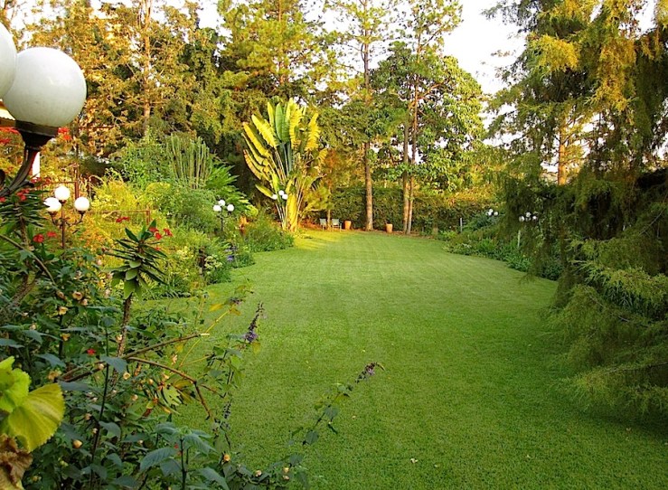 enclos*ure: our Kigali garden, Summer 2014 - lower lawn
