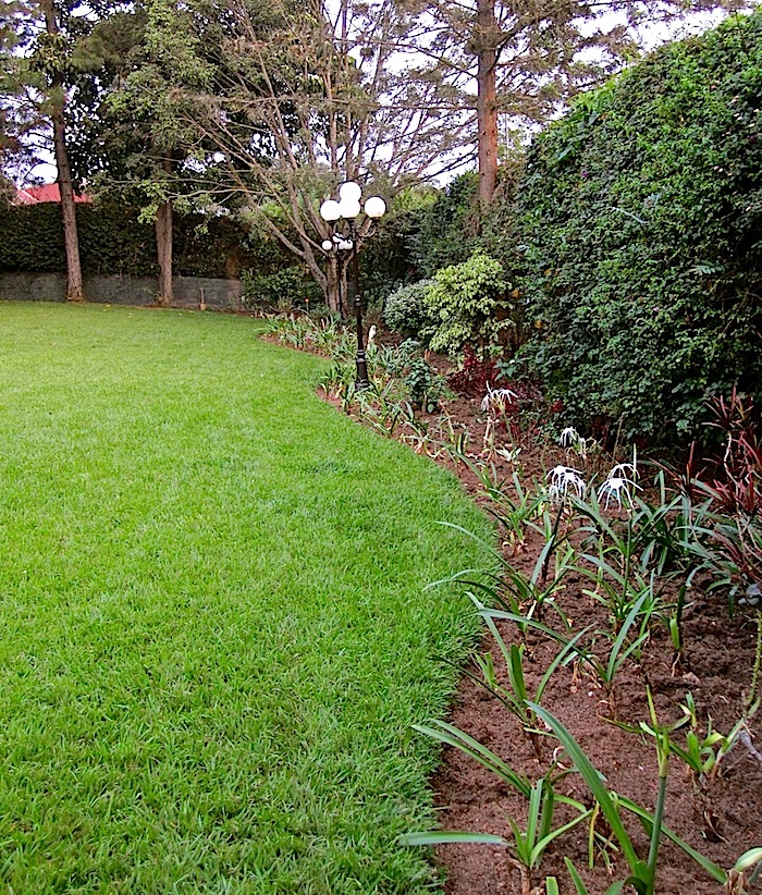 enclos*ure: our Kigali garden, Summer 2012 - lower lawn