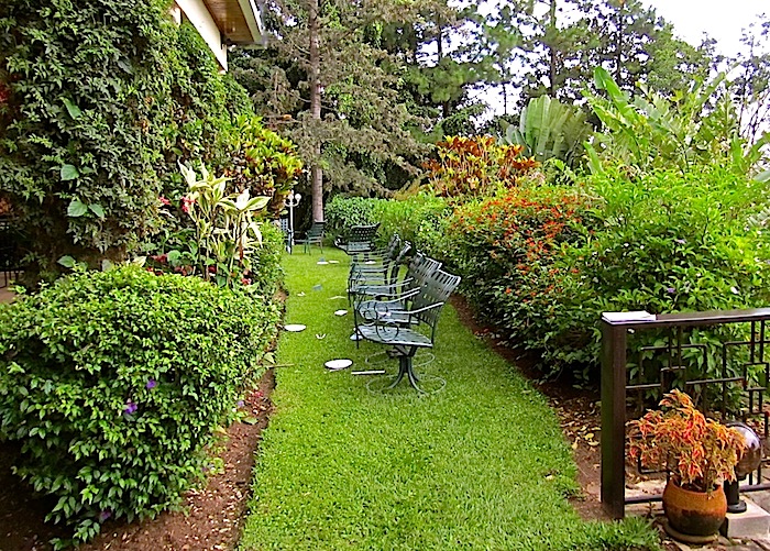 enclos*ure: our Kigali garden 2011 - upper lawn