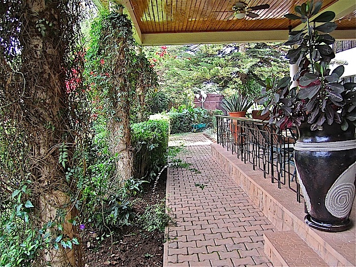 enclos*ure: our Kigali garden 2011 - upper lawn