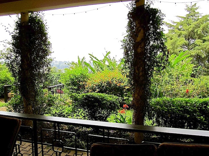 enclos*ure: our Kigali garden 2011 - upper lawn