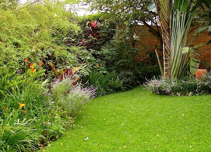 enclos*ure: our Kigali garden, Summer 2014 - lower lawn