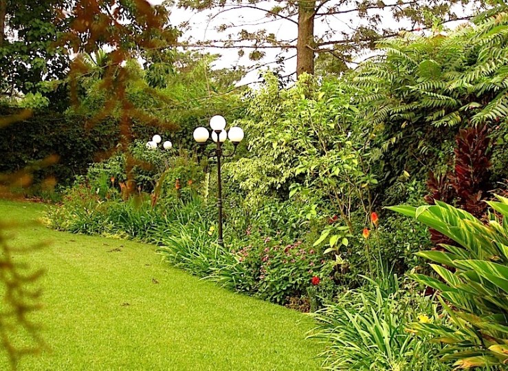 enclos*ure: our Kigali garden, Summer 2014 - lower lawn