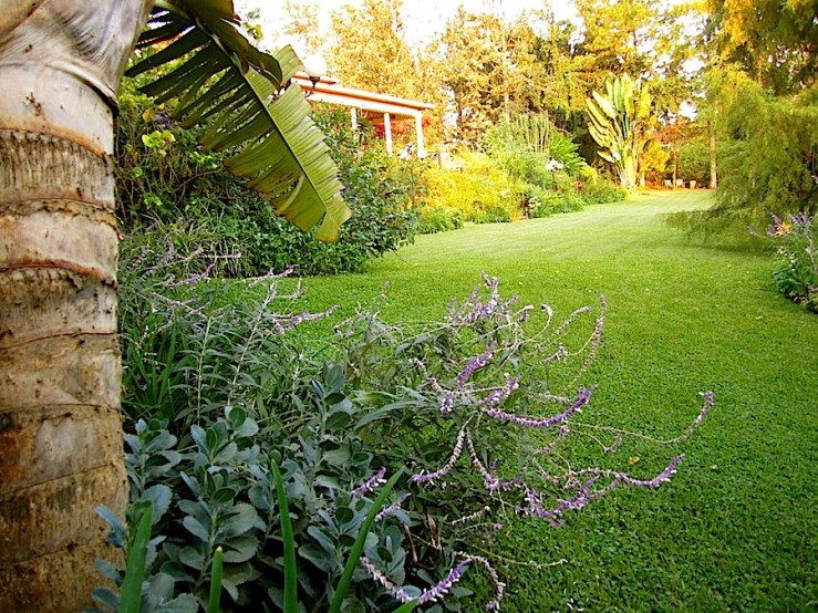 enclos*ure: our Kigali garden, Summer 2014 - lower lawn