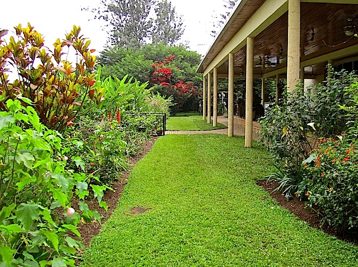 enclos*ure: our Kigali garden, summer 2012 - upper lawn