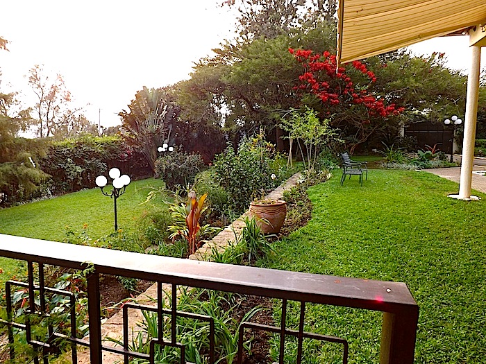 enclos*ure: our Kigali garden, summer 2012 - upper lawn