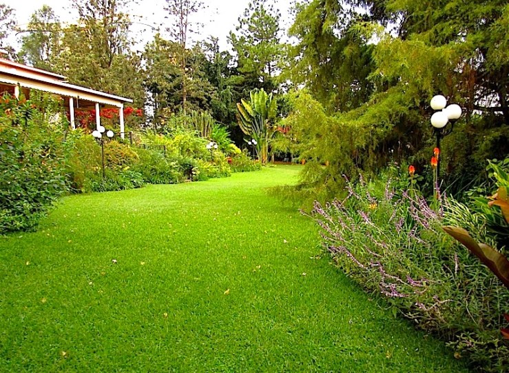 enclos*ure: our Kigali garden, Summer 2014 - lower lawn