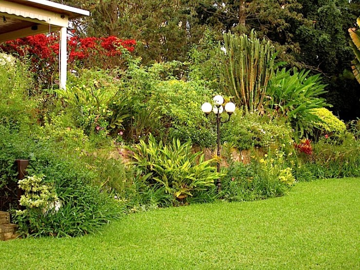 enclos*ure: our Kigali garden, Summer 2014 - lower lawn