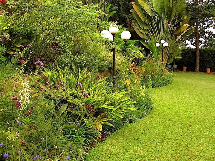 enclos*ure: our Kigali garden, Summer 2014 - lower lawn