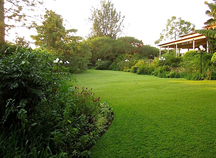 enclos*ure: our Kigali garden, Summer 2014 - lower lawn
