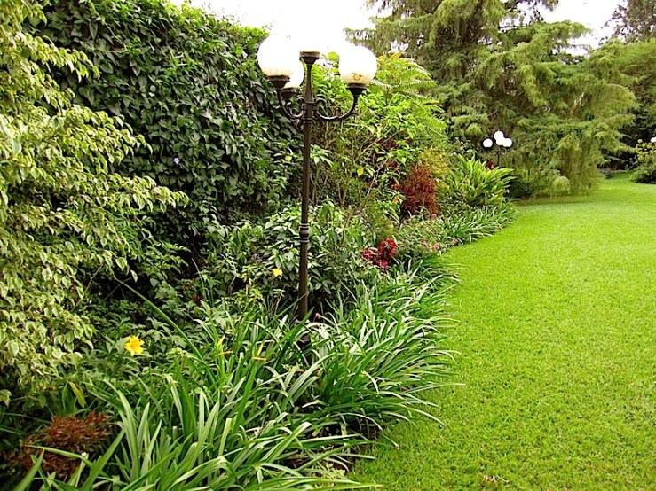 enclos*ure: our Kigali garden, Summer 2014 - lower lawn