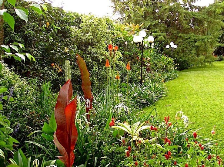 enclos*ure: our Kigali garden, April 2014 - lower lawn