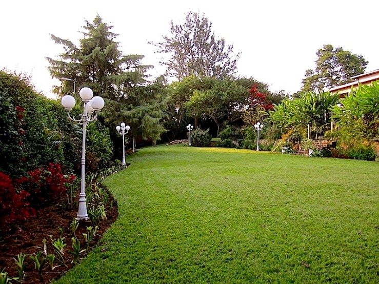 enclos*ure: our Kigali garden, Summer 2012 - lower lawn
